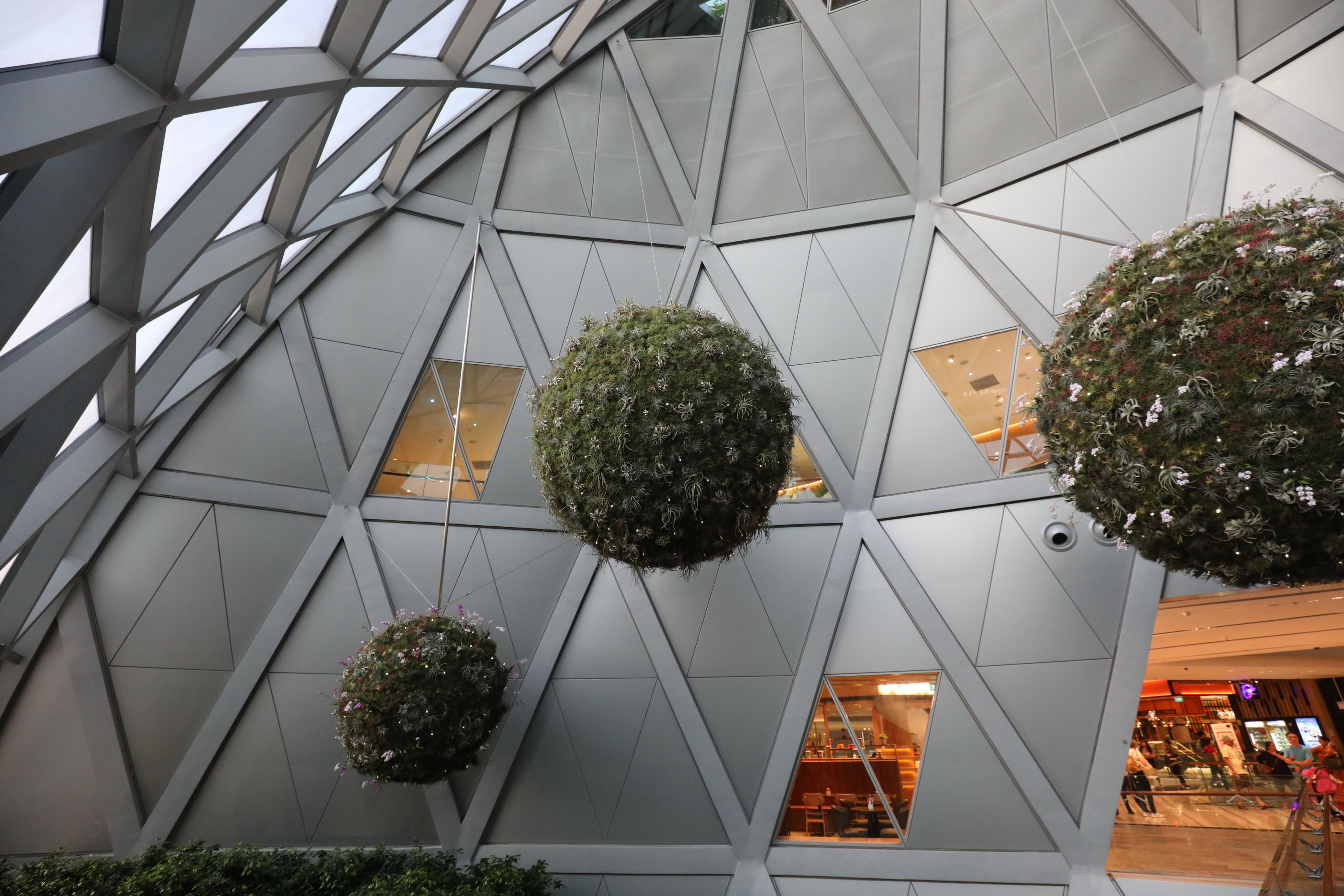 2019 07 10 19 14 07 Canon EOS 5D Mark IV 0017